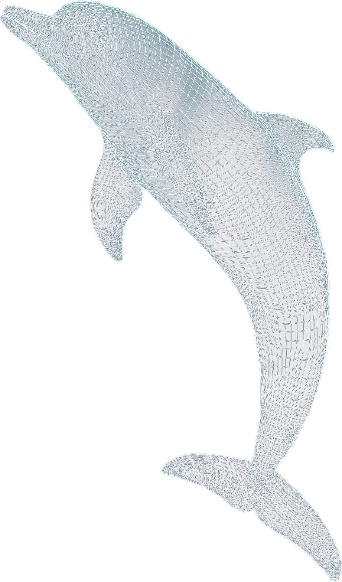 Dolphin AI background 1